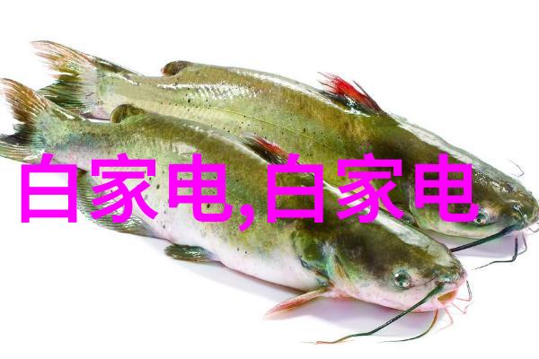 国补带动换新潮苏宁易购发布十大家电消费趋势榜